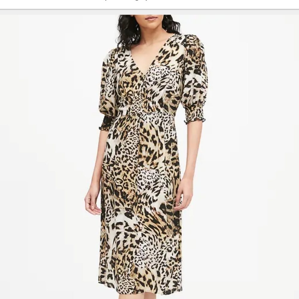 Gorgeous Leopard Print Midi Dress